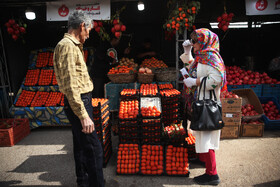 جشنواره « انار و خرمالو » قصردشت - بوستان شهید رجایی شیراز