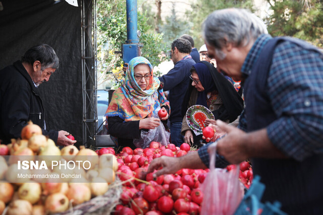 برپایی سومین جشنواره ملی انار و خرمالوی شیراز