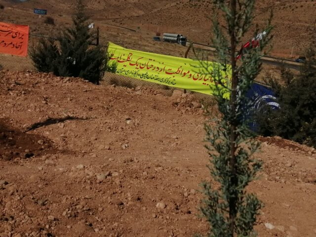 شروع فصل سبز در شهر بینالمللی سلامت شیراز