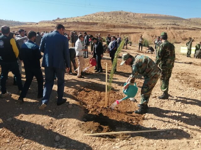 شروع فصل سبز در شهر بینالمللی سلامت شیراز