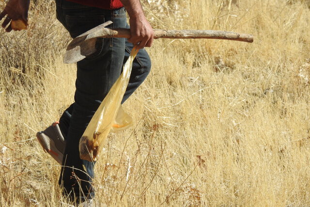 عکس تزئینی است مدیرکل حفاظت محیطزیست استان زنجان: به سمت مطلوبیت در حوزه محیطزیست حرکت میکنیم