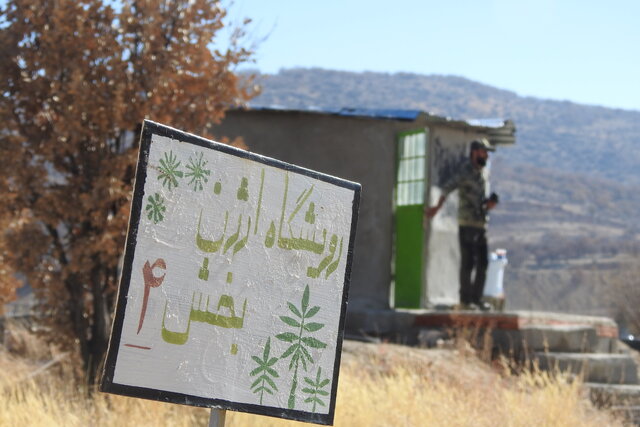 قرار نیست خودمان درخت شدن این بذرها را ببینیم