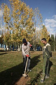 طرح مردمی کاشت یک میلیارد درخت در کشور