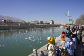 مهمانان فصلی شیراز