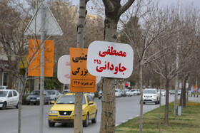 تبلیغات انتخاباتی در شیراز