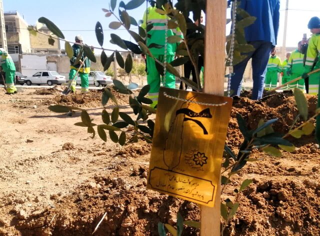 کاشت نهال در پارک مادر با پلاک شهدا