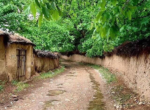 بهره‌برداری از تصفیه‌خانه محلی قصردشت شیراز تا نیمه اول سال/ کوتاه شدن دوره آبیاری باغ‌های شیراز