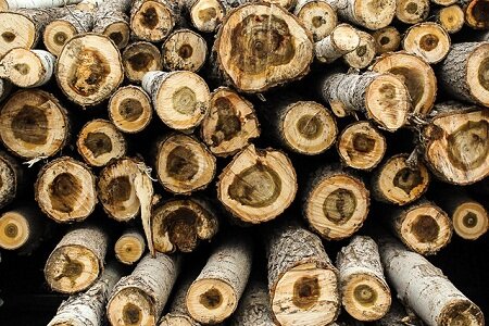 کشف ۱۰ تن چوب قاچاق جنگلی در آستانه‌ اشرفیه