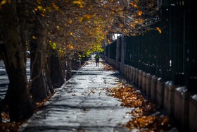 تداوم بارندگی ها تا ظهر فردا/ افزایش نسبی دما از سه شنبه