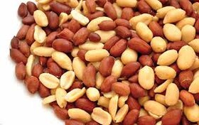 برنامه ریزی برای تبدیل بادام زمینی به فرآورده های گران قیمت