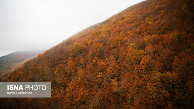 خزان حیران آستارا - ایسنا