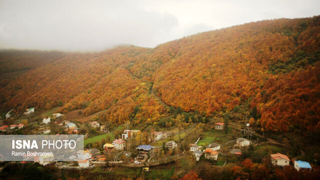 خزان حیران آستارا - ایسنا