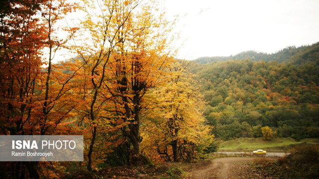 خزان حیران آستارا - ایسنا