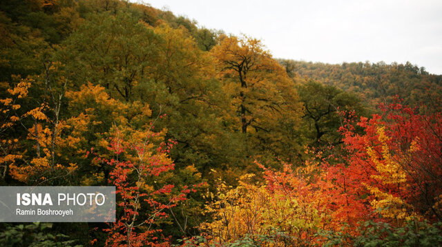 خزان حیران آستارا - ایسنا