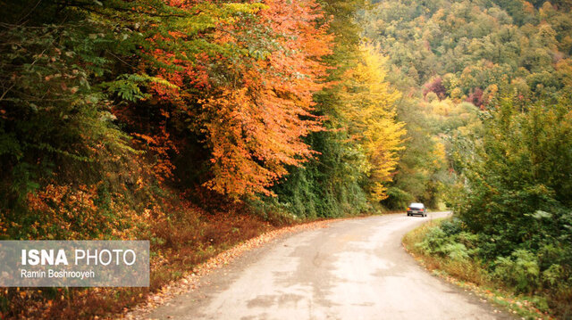 خزان حیران آستارا - ایسنا