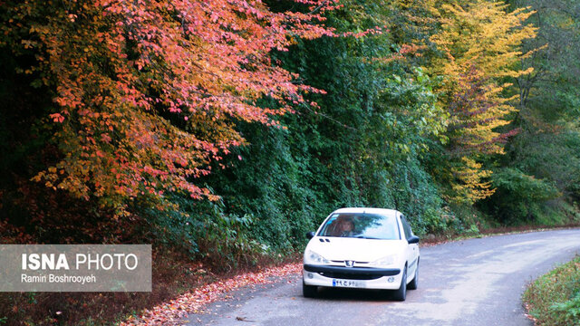 خزان حیران آستارا - ایسنا