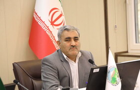 ضرورت بازنگری در مبارزه با آفات شمشاد