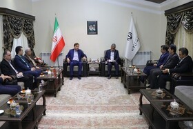 زراعت چوب در گیلان با جدیت در حال انجام است