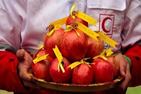 اجرای طرح «یلدانه» در گیلان