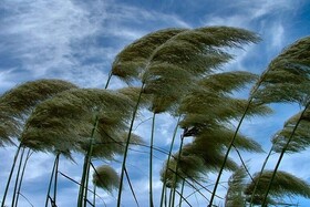 روند افزایش دمای گیلان تا جمعه ادامه دارد