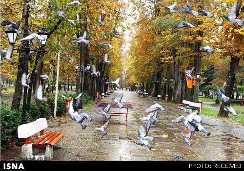 سیزده بدر را در خانه بمانیم/ تعطیلی همه پارک ها و بوستان های رشت 