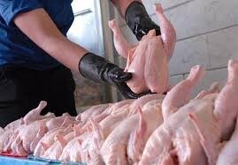 کاهش چشمگیر مصرف مرغ در گیلان