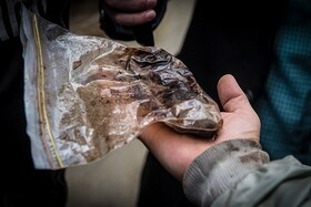 دسترسی به مواد مخدر ظرف مدت نیم ساعت/ کشف ۹۰ درصد تریاک دنیا در ایران