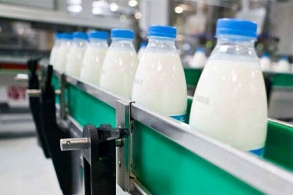 کاهش تولید کارخانجات لبنی دستاورد گران شدن قیمت شیر
