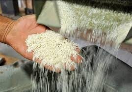 نرخ تبدیل شلتوک به برنج در گیلان تعیین شد