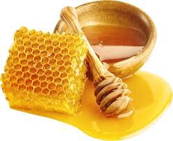 افزایش شیرینی عسل به کام زنبورداران گیلان