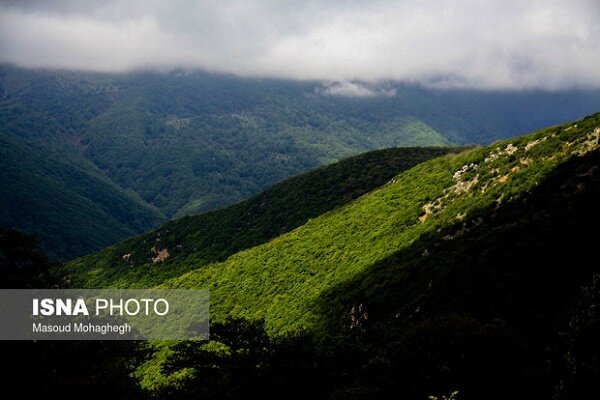 جنگل هیرکانی فتاتو در فهرست آثار ملی ثبت شد