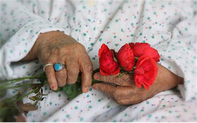 بهره مندی ۱۰ درصدی سالمندان گیلانی از خدمات سازمان بهزیستی