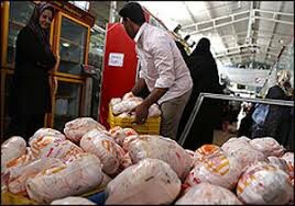 گران فروشان مرغ در گیلان جریمه می شوند