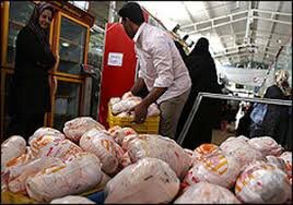 گران فروشان مرغ در گیلان جریمه می شوند
