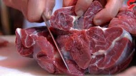 کشتار غیرمجاز از مهمترین عوامل ابتلا به تب کریمه کنگو