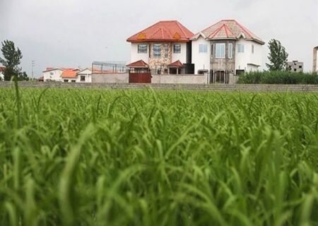 قصه پرغصه گیلان از رنج ساخت خانه دوم   
