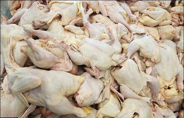 توقیف محموله ۱۳۰۰ کیلوگرمی گوشت مرغ فاقد مجوز در روسر