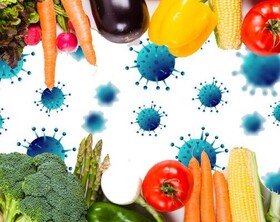 استفاده روزانه مادران باردار از ۶ گروه اصلی غذایی برای مقابله با کرونا

