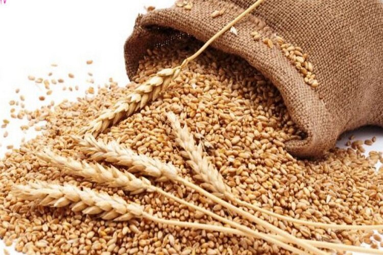 زكات،گيلان،استان،امداد،كميته،پرداخت،ريال