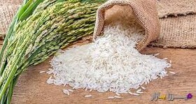 سود قیمت گران برنج شب عید در جیب دلال
