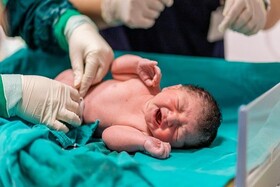 کاهش ۷.۴ درصدی تولد در گیلان