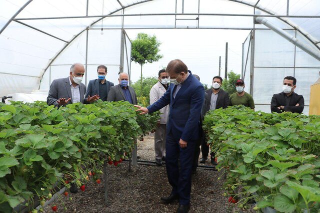شناسایی واحدهای تولیدی با پیشرفت بالای ۶۰ درصد در گیلان