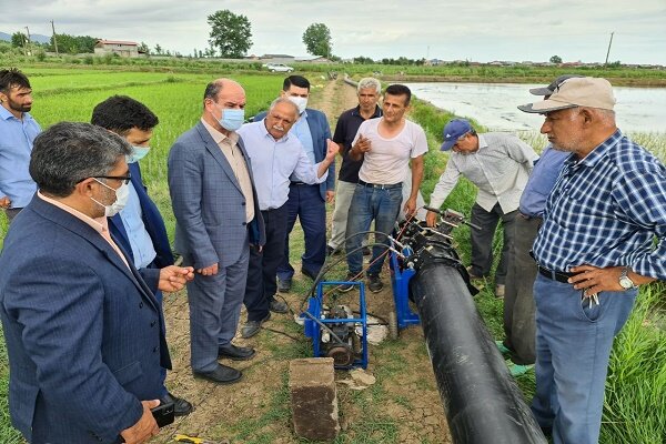 آبیاری اراضی روستای گلسفید لنگرود با نصب لوله های انتقال آب