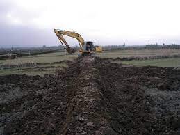 اقدامی موثر برای کاهش هزینه تولید برنج در گیلان