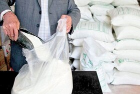 توزیع ۷۰ تن شکر تعاونی در بندرانزلی