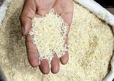 سود بی‌رنج برنج در جیب دلالان         