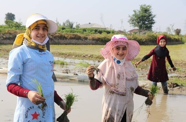 ارتقای آموزش دختران گیلانی برای ورود به بخش کشاورزی  