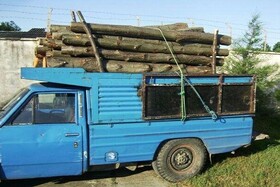 کشف و ضبط ۲۳ اصله چوب آلات جنگلی قاچاق در یک نیسان