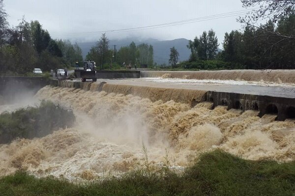 بارش میانگین بارش ۴۶ میلیمتری در گیلان/ انسداد ۵ پل روستایی