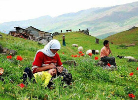 رونق گردشگری عشایری گیلان در انتظار بازارچه ییلاقات  